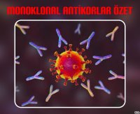 cover of the book Monoklonal Antikorlar Özet Notu