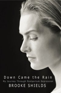 cover of the book Down Came The Rain