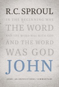 cover of the book John: An Expositional Commentary