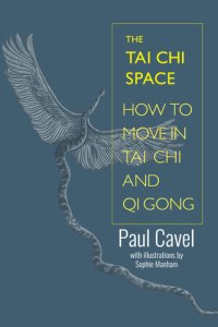 cover of the book The Tai Chi Space: How to Move in Tai Chi and Qi Gong (A Pictorial Guide)