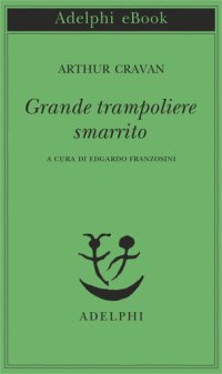 cover of the book Grande trampoliere smarrito