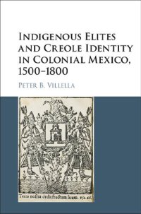 cover of the book Indigenous Elites and Creole Identity in Colonial Mexico, 1500-1800