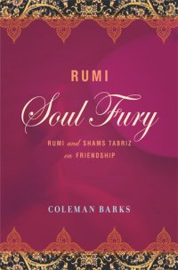 cover of the book Soul Fury: Rumi and Shams Tabriz on Friendship