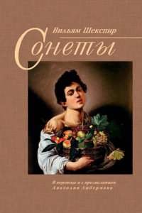 cover of the book Сонеты