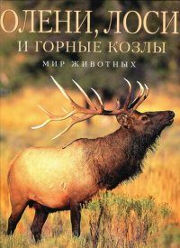 cover of the book Олени, лоси и горные козлы.