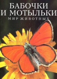 cover of the book Бабочки и мотыльки.