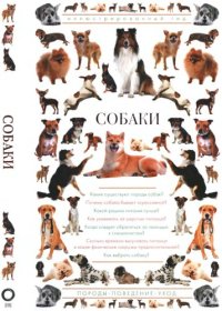 cover of the book Собаки: (какие существуют породы собак? почему собака бывает агрессивной? какой рацион питания лучше? как ухаживать за шерстью питомца? когда следует обратиться за помощью к специалистам? сколько времени выгуливать питомца и какие физические нагрузки пред