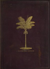 cover of the book A general system of botany : descriptive and analytical