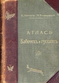 cover of the book Атлас бабочек и гусениц Европы и отчасти Русско-Азиатских владений.