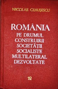 cover of the book România pe drumul construirii societății socialiste multilateral dezvoltate. Rapoarte, cuvîntări, articole