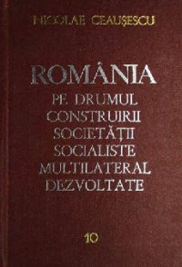 cover of the book România pe drumul construirii societății socialiste multilateral dezvoltate. Rapoarte, cuvîntări, articole