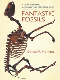 cover of the book Fantastic Fossils: A Guide to Finding and Identifying Prehistoric Life