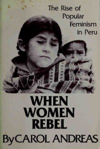 cover of the book When Women Rebel: The Rise of Popular Feminism in Peru