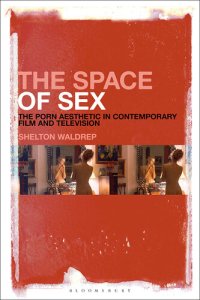 cover of the book The Space of Sex: The Porn Aesthetic in Contemporary Film and Television