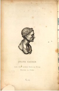 cover of the book Heerwesen und Kriegsführung C. Julius Cäsars