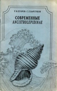 cover of the book Современные Ancistrolepidinae (Buccinidae)