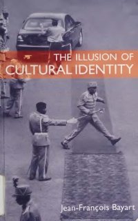 cover of the book The Illusion of Cultural Identity