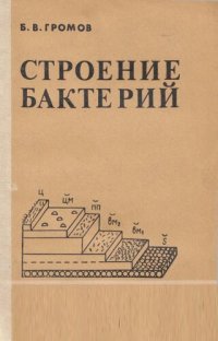 cover of the book Строение бактерий.