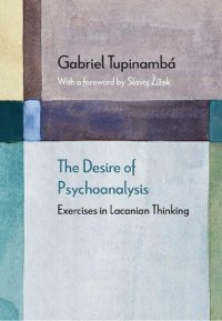 cover of the book The Desire of Psychoanalysis: Exercises in Lacanian Thinking