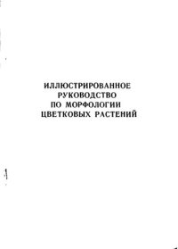 cover of the book Иллюстрированное руководство по морфологии цветковых растений.