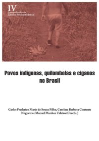 cover of the book Povos indígenas, quilombolas e ciganos no Brasil