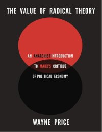 cover of the book Value of radical theory: an anarchist introduction to Marx's critique of political economy /