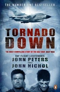 cover of the book Tornado Down