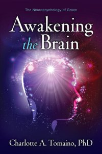 cover of the book Awakening the Brain