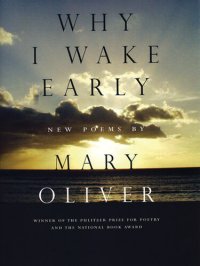 cover of the book Why I Wake Early