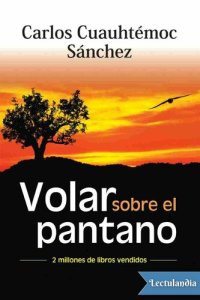 cover of the book Volar sobre el pantano