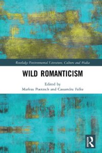 cover of the book Wild Romanticism