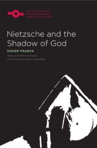 cover of the book Nietzsche and the Shadow of God