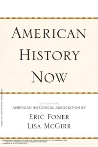 cover of the book American History Now (Critical Perspectives on the Past Series)