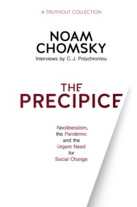 cover of the book The Precipice: Neoliberalism, the Pandemic and the Urgent Need for Social Change