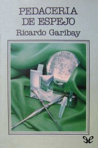 cover of the book Pedacería de espejo