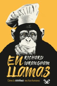 cover of the book En llamas