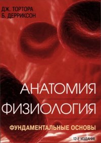 cover of the book Анатомия. Физиология: фундаментальные основы