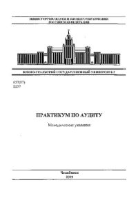 cover of the book Практикум по аудиту