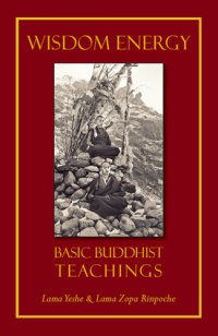 cover of the book Wisdom Energy: Basic Buddhist Teachings