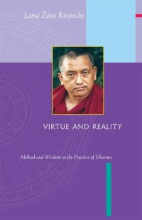 cover of the book Virtue and Reality: Method and Wisdom in the Practice of Dharma