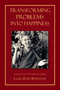 cover of the book Transforming Problems Into Happiness