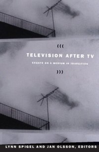 cover of the book Television after TV: Essays on a Medium in Transition