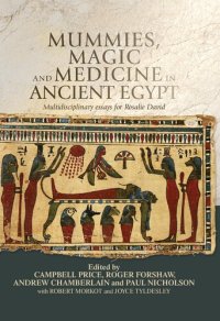 cover of the book Mummies, magic and medicine in ancient Egypt: Multidisciplinary essays for Rosalie David