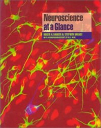 cover of the book Neuroscience At A Glance