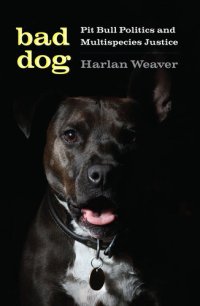 cover of the book Bad Dog: Pit Bull Politics and Multispecies Justice