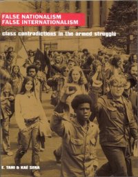 cover of the book False Nationalism False Internationalism: Class Contradictions in the Armed Struggle