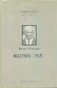 cover of the book 柏拉图的智者