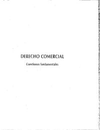 cover of the book Derecho comercial - Cuestiones fundamentales