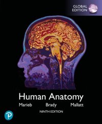 cover of the book Human Anatomy, Global Edition