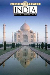 cover of the book A Brief History Of India